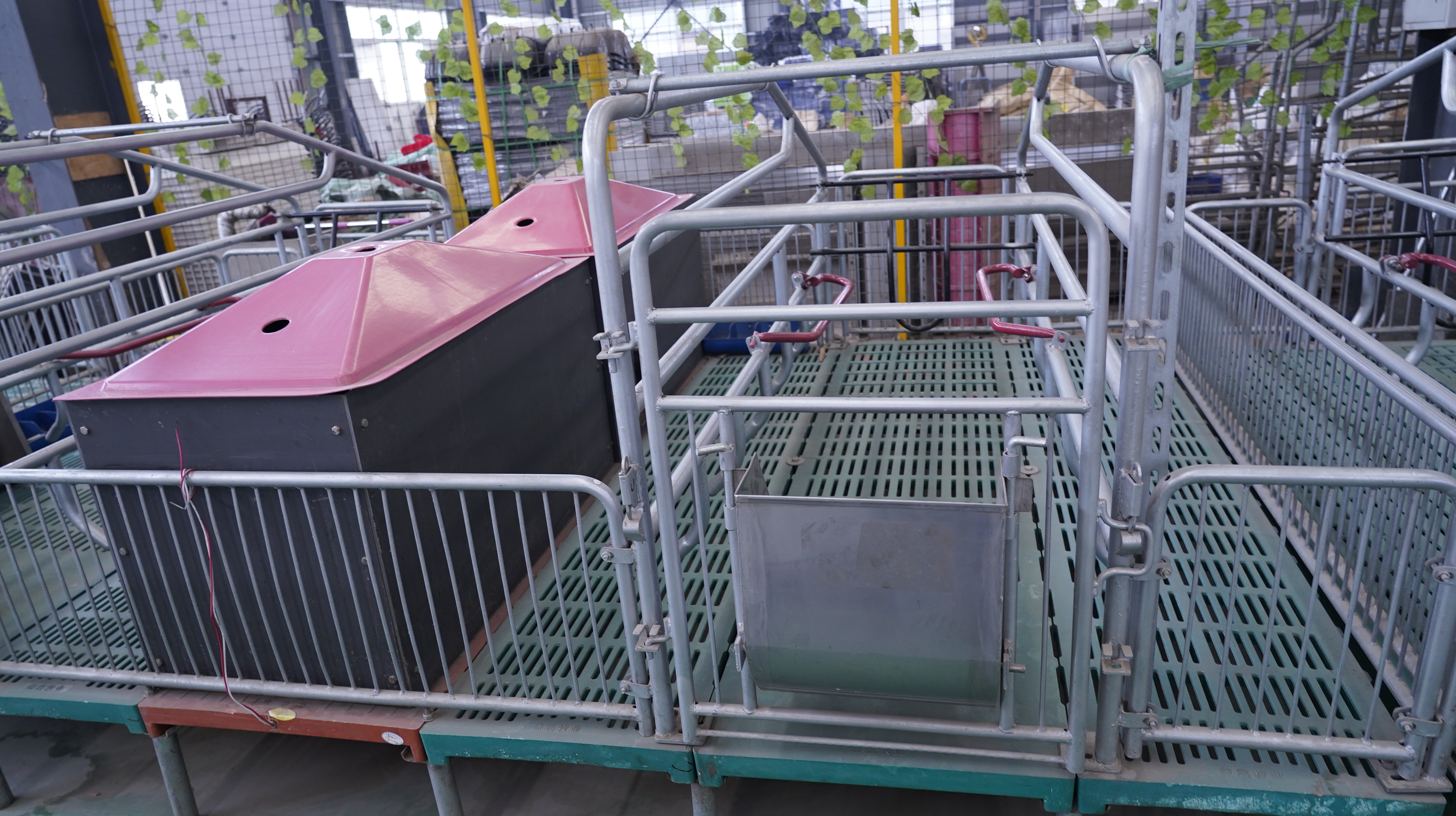 母豬產(chǎn)床使用保溫產(chǎn)品有何作用？