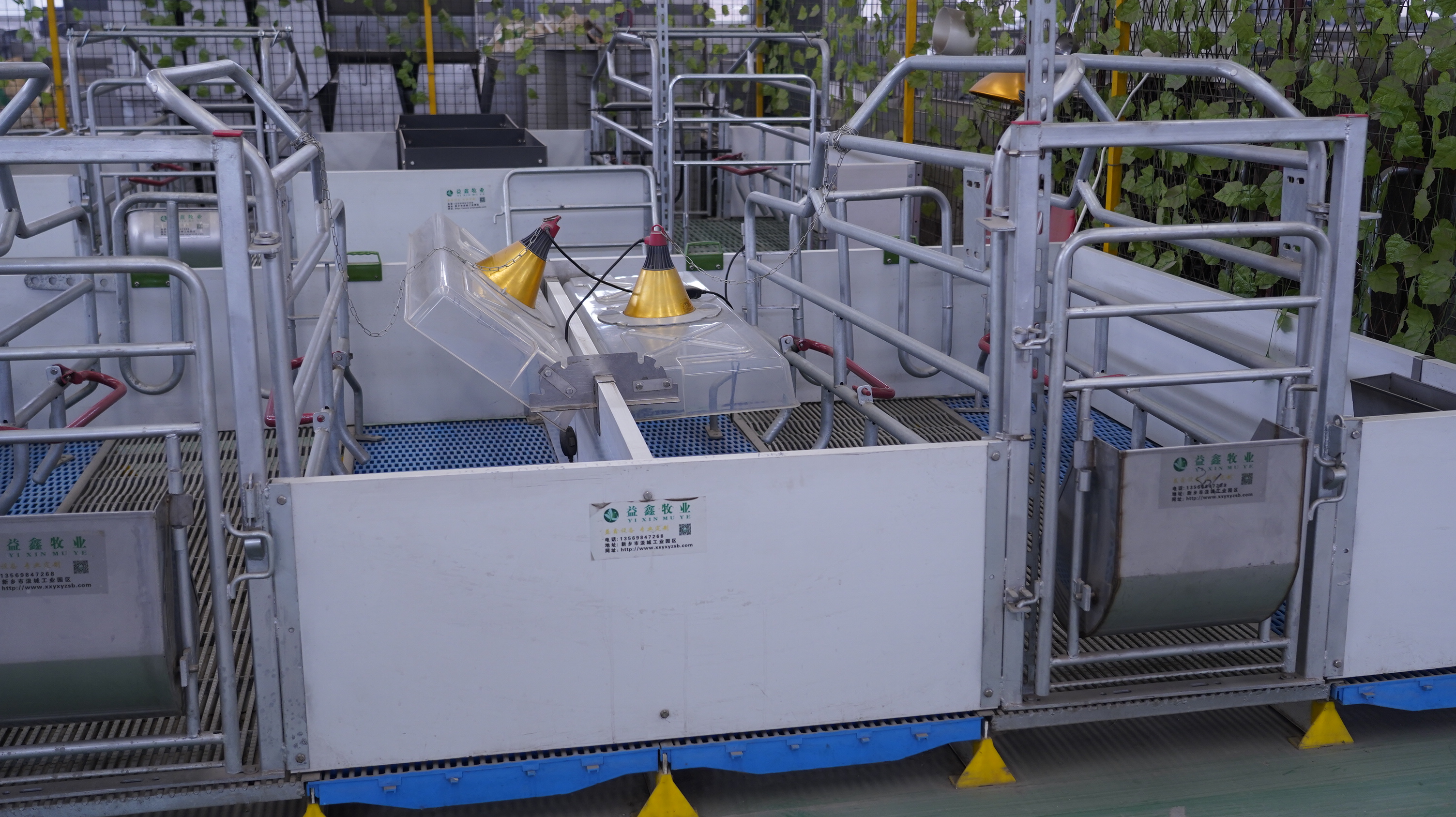 如何選擇合適的母豬產(chǎn)床？